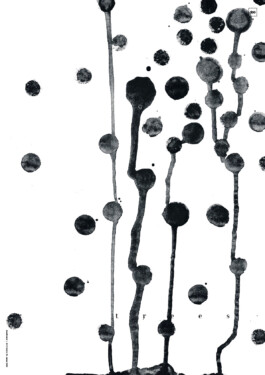  brandt zwei design Schwabach