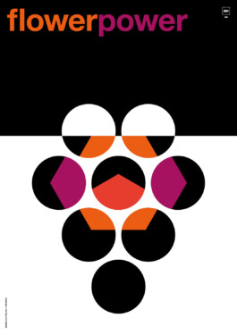  brandt zwei design Schwabach
