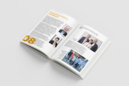  brandt zwei design Schwabach